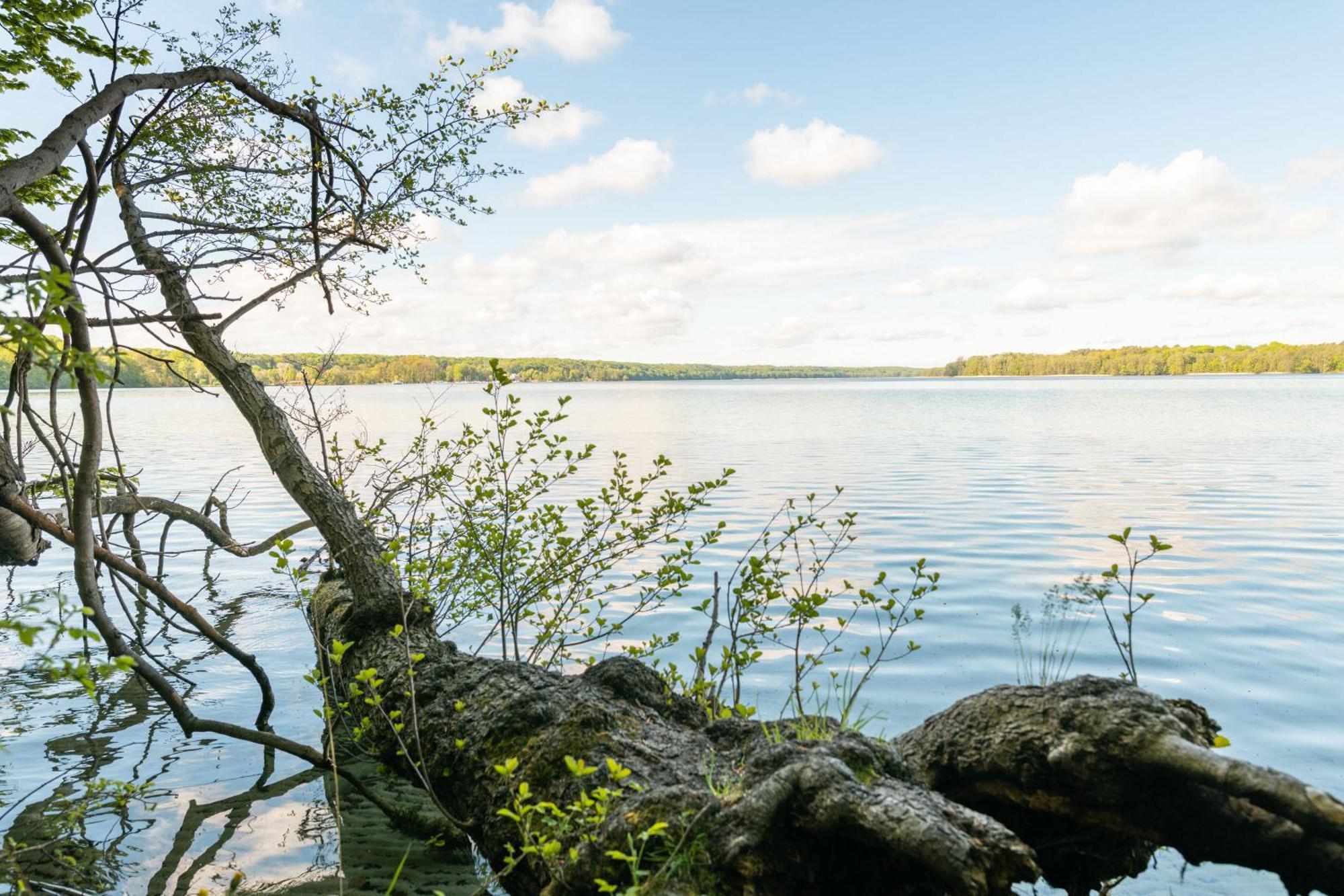 Budget Seezeit-Resort Am Werbellinsee Altenhof  Exteriör bild